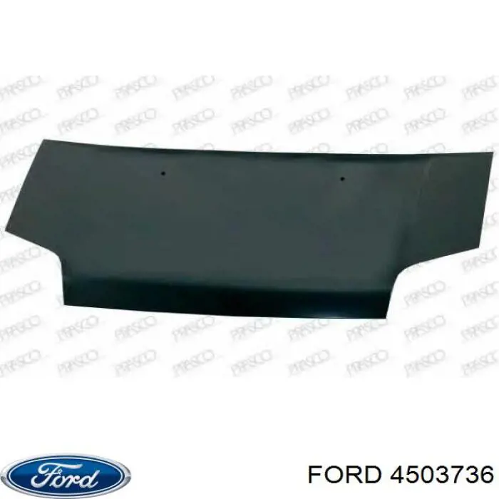 Comprar Capó Ford Connect  TC7