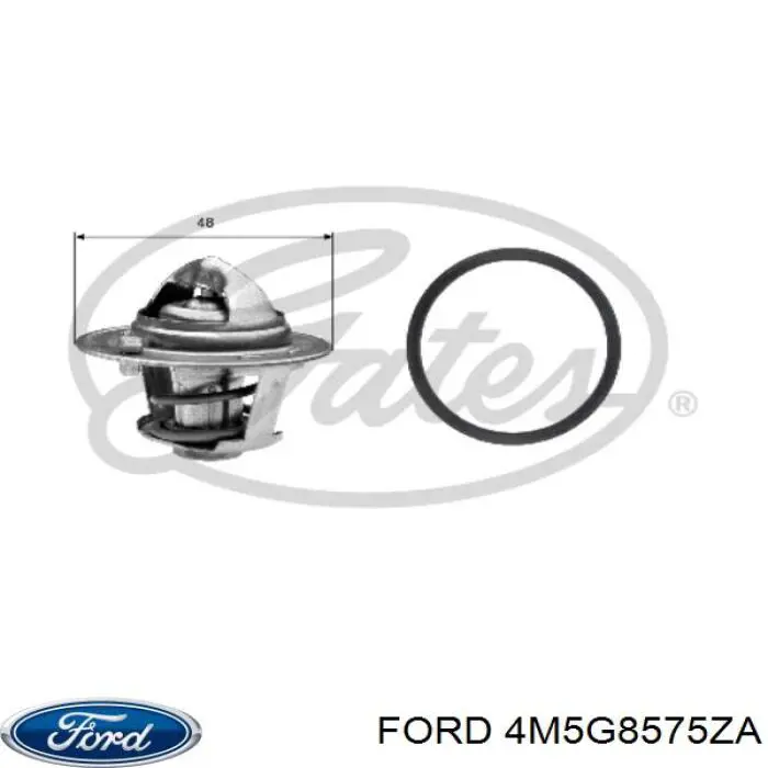 Termostato Ford 4M5G8575ZA precio, desde 9,85 EUR