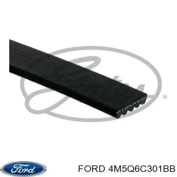 Comprar 4M5Q6C301BB Ford Correa trapezoidal