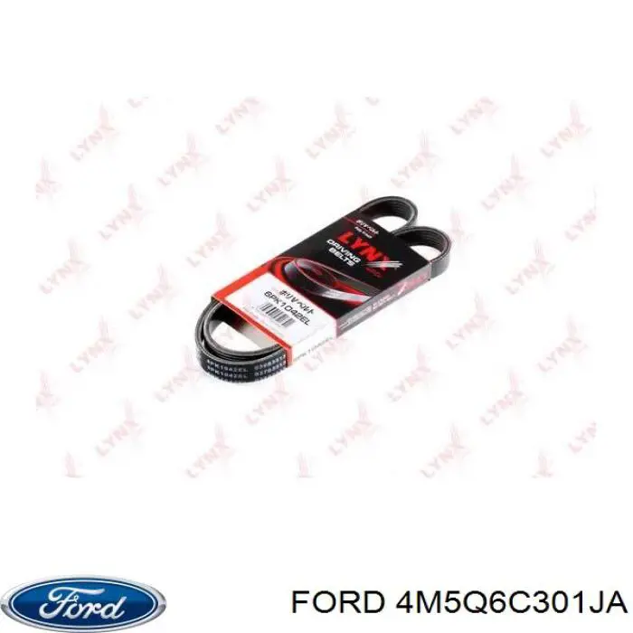 Correa de transmisión trapezoidal Ford 4M5Q6C301JA precio, desde 13,96 EUR