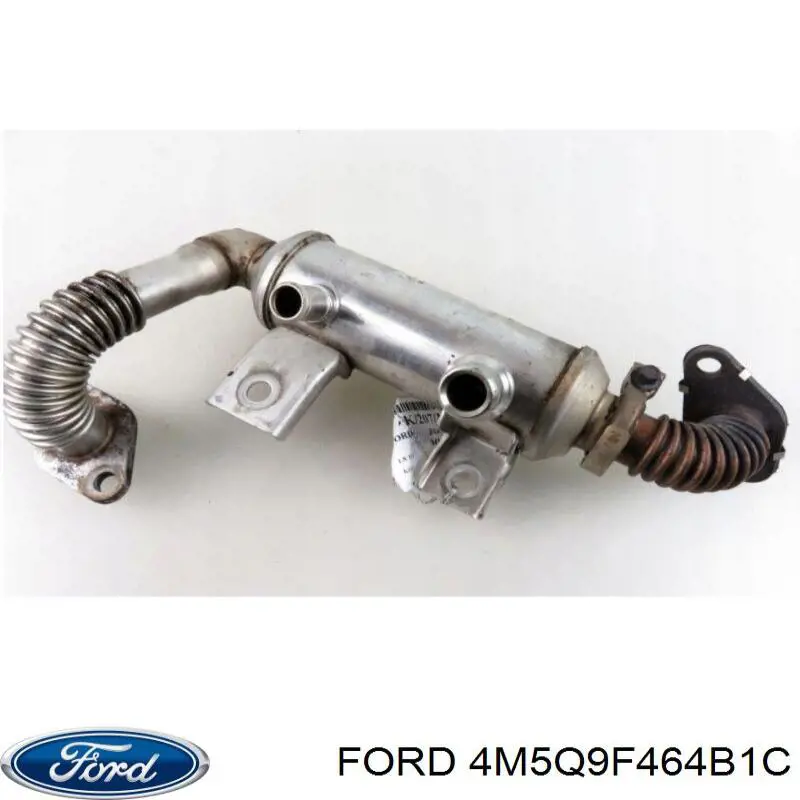 4M5Q9F464B1C Ford