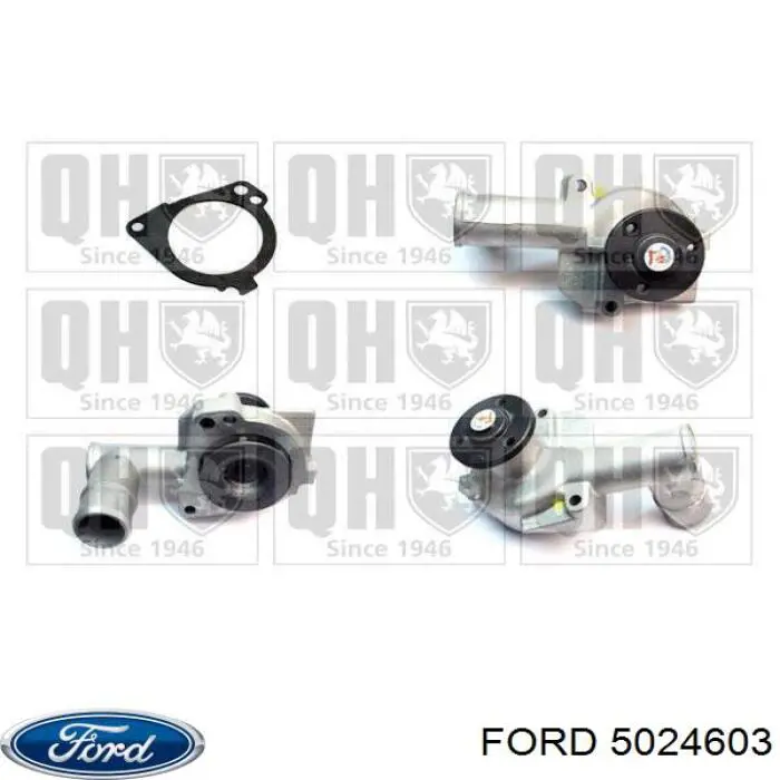 5024603 Ford bomba de agua