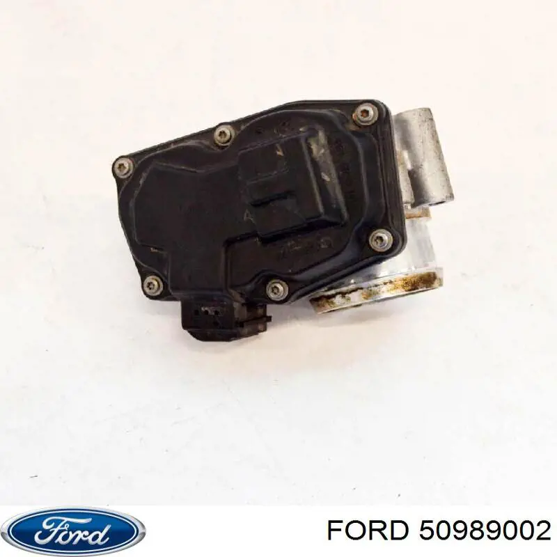 50989002 Ford Tanque de combustible