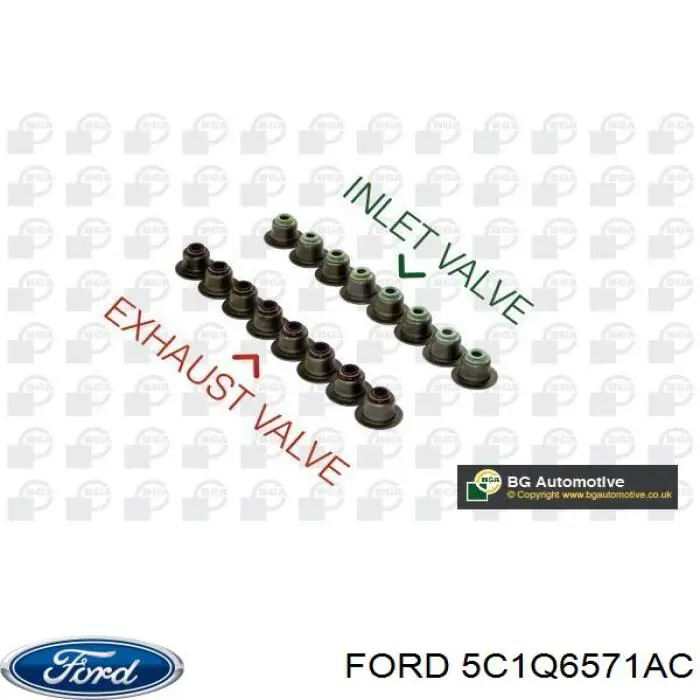5C1Q6571AC Ford Empaquetadura De Aceite De Valvula