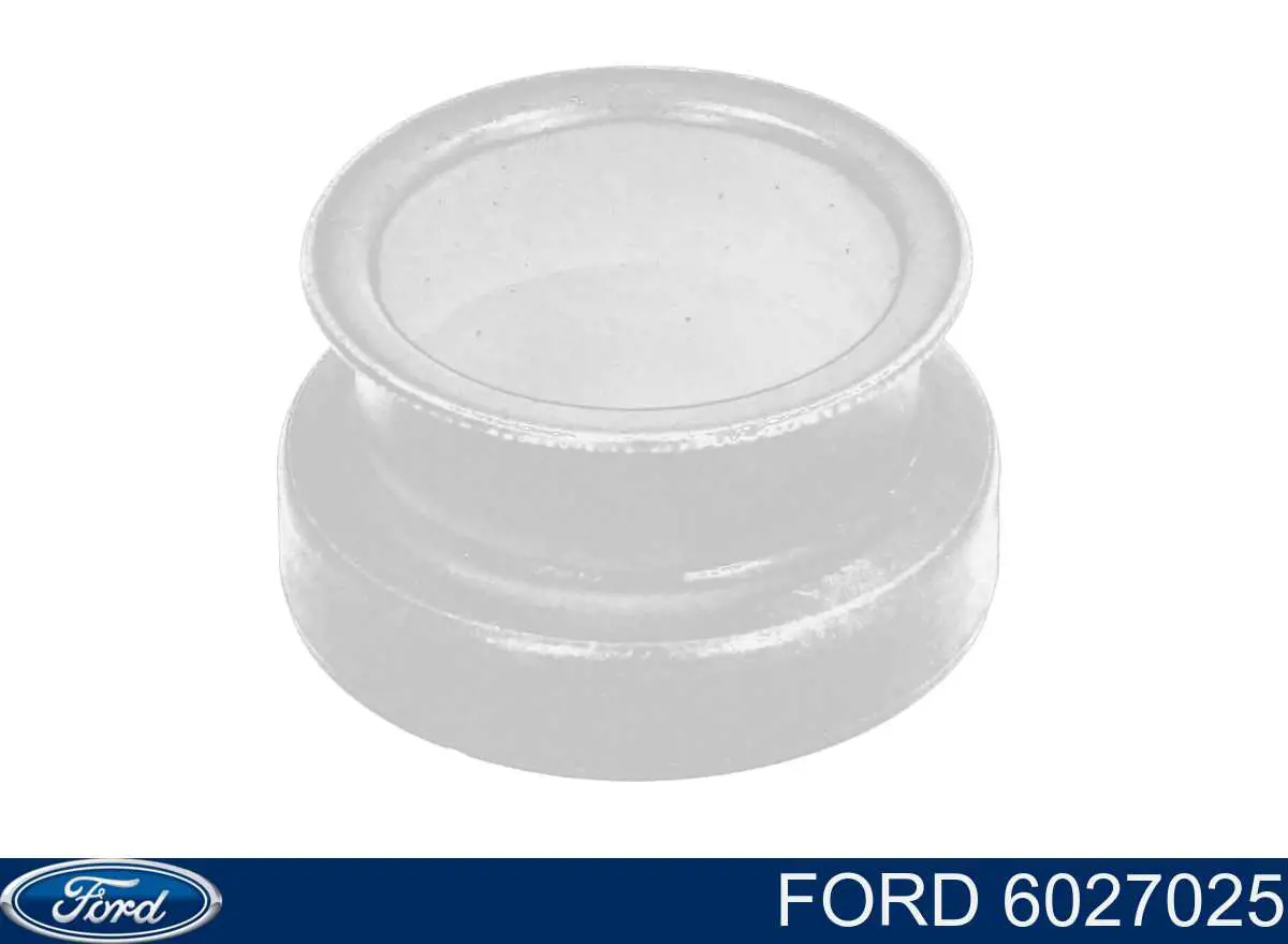 Comprar 6027025 Ford Retén del vástago del cambio de la caja de cambios