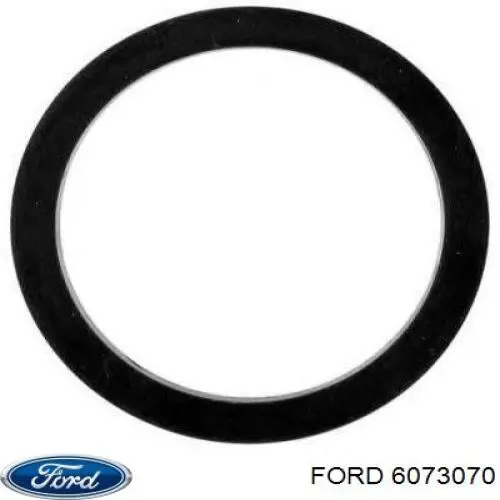 Junta de termostato Ford 6073070 precio, desde 2,65 EUR