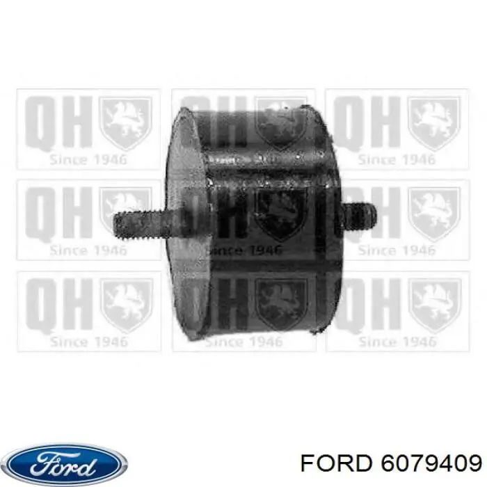 6079409 Ford