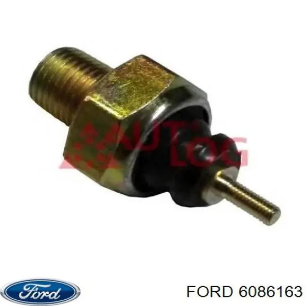 6086163 Ford