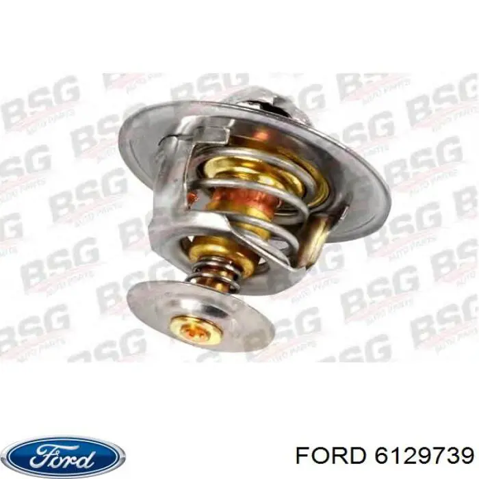 Comprar 6129739 Ford Termostato