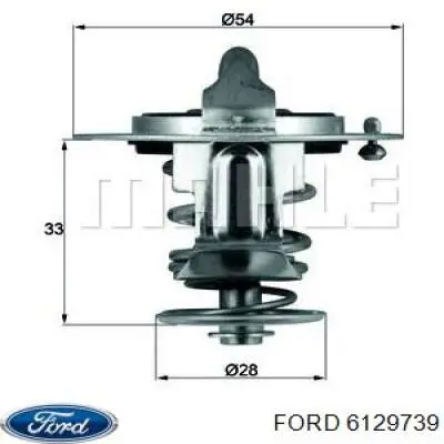Comprar 6129739 Ford Termostato