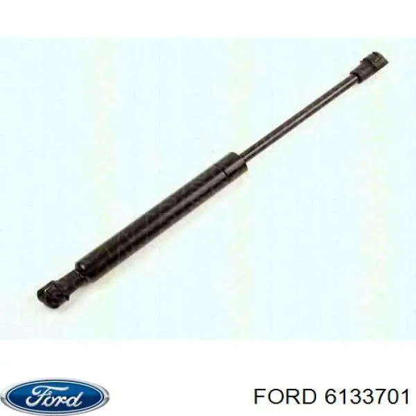 6133701 Ford