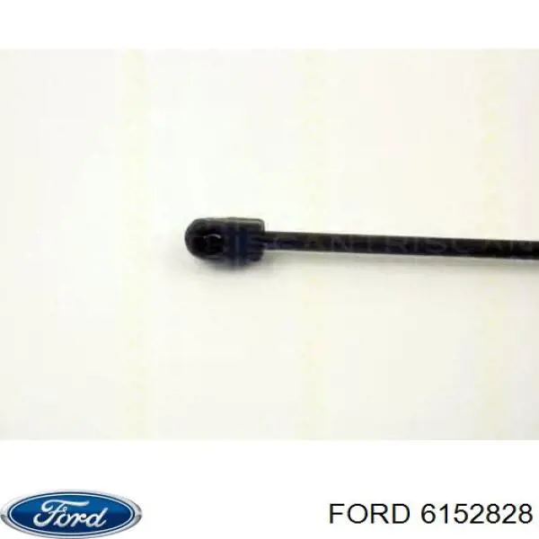 6135111 Ford amortiguador de maletero