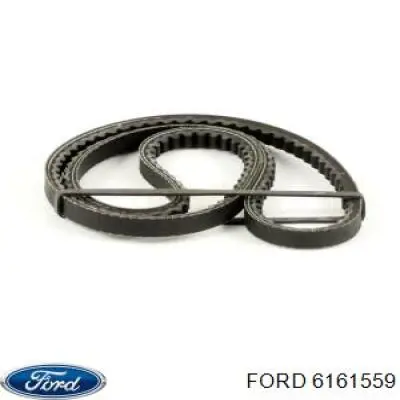 6161559 Ford