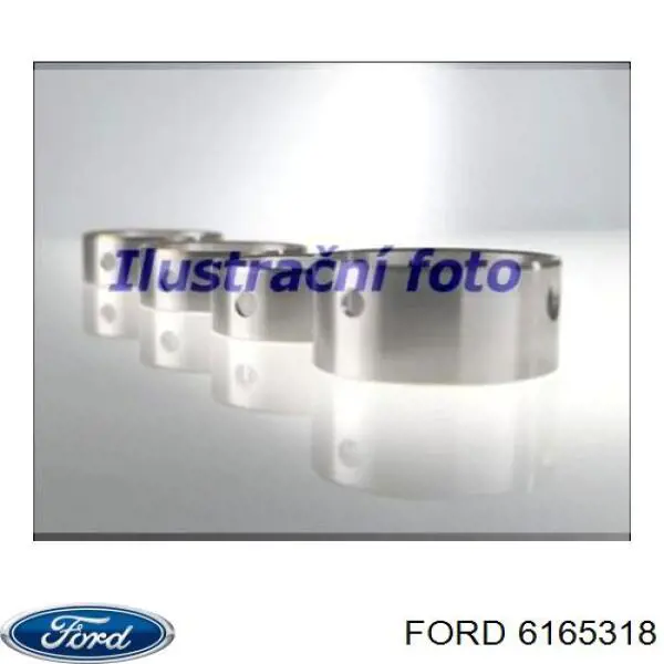 6165318 Ford