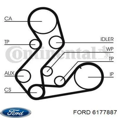 6177887 Ford correa distribucion