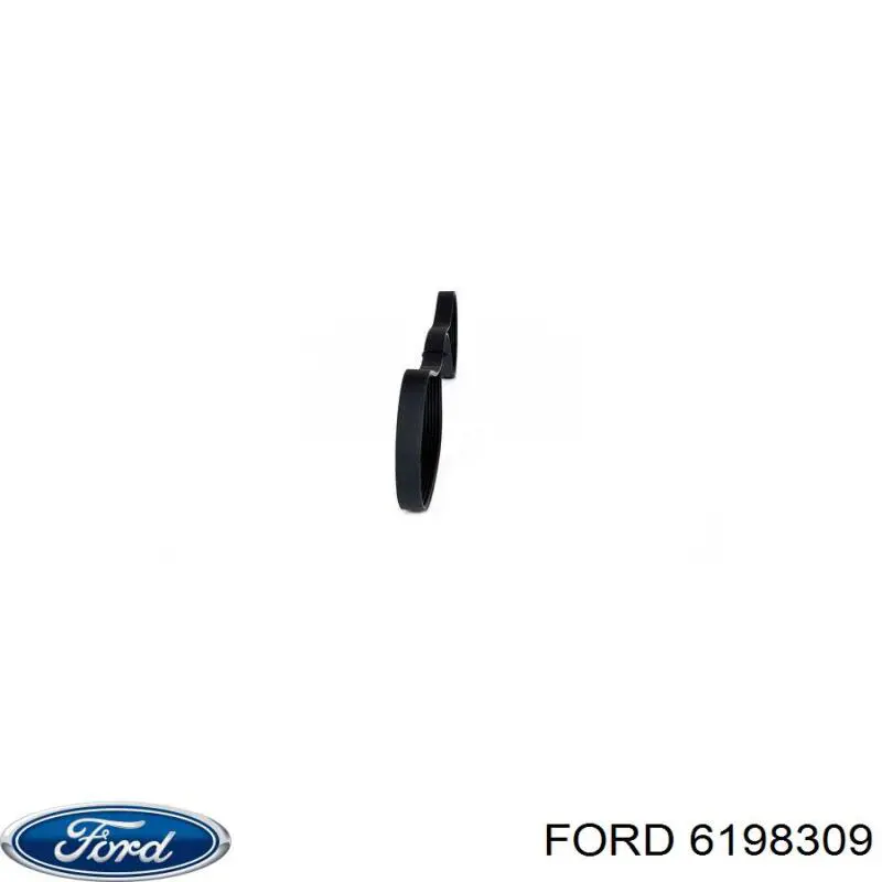 Correa de alternador 6198309 Ford