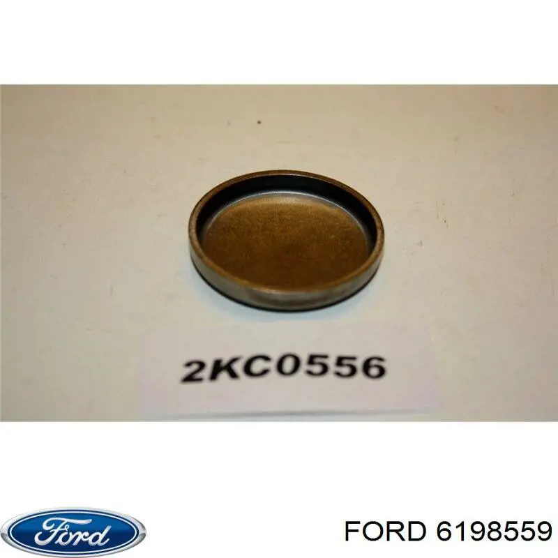 Tapa de cilindro Ford 6198559 precio, desde 2,37 EUR