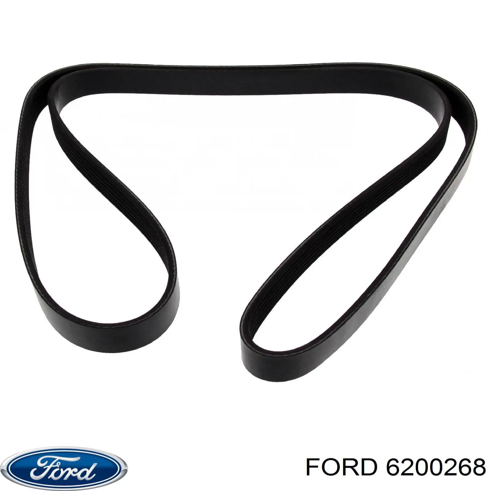 6200268 Ford correa trapezoidal