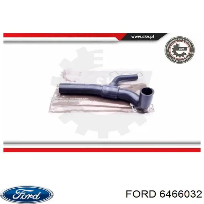 6466032 Ford