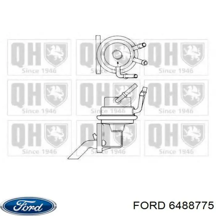 Bomba de gasolina mecánica para Ford Escort (AVL)