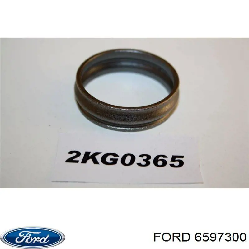 Comprar 6597300 Ford Retén del piñón del diferencial trasero
