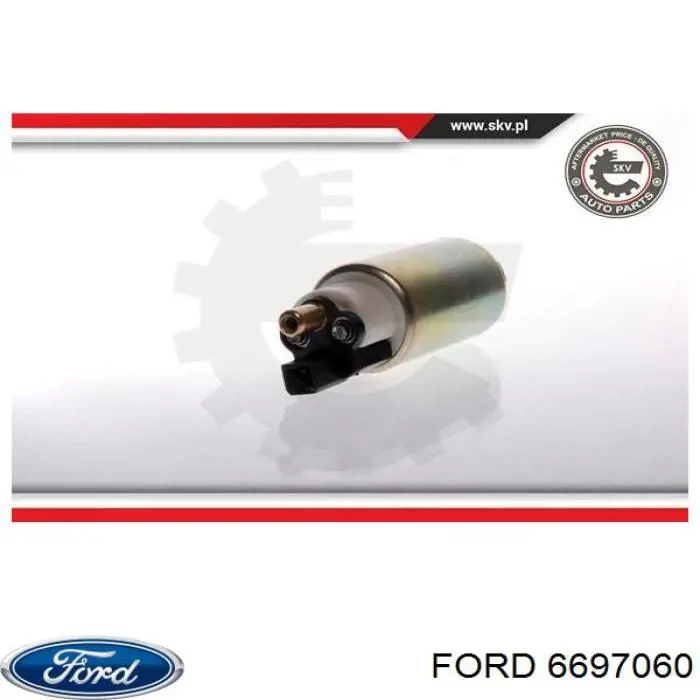 6697060 Ford