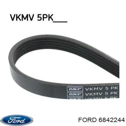 Correa de transmisión trapezoidal Ford 6842244 precio, desde 8,55 EUR