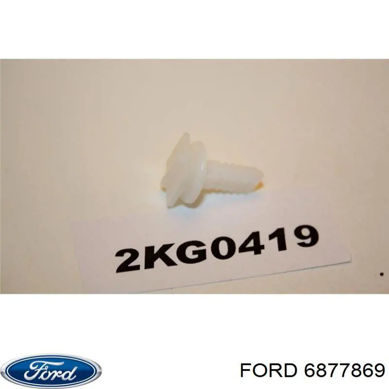 6877869 Ford