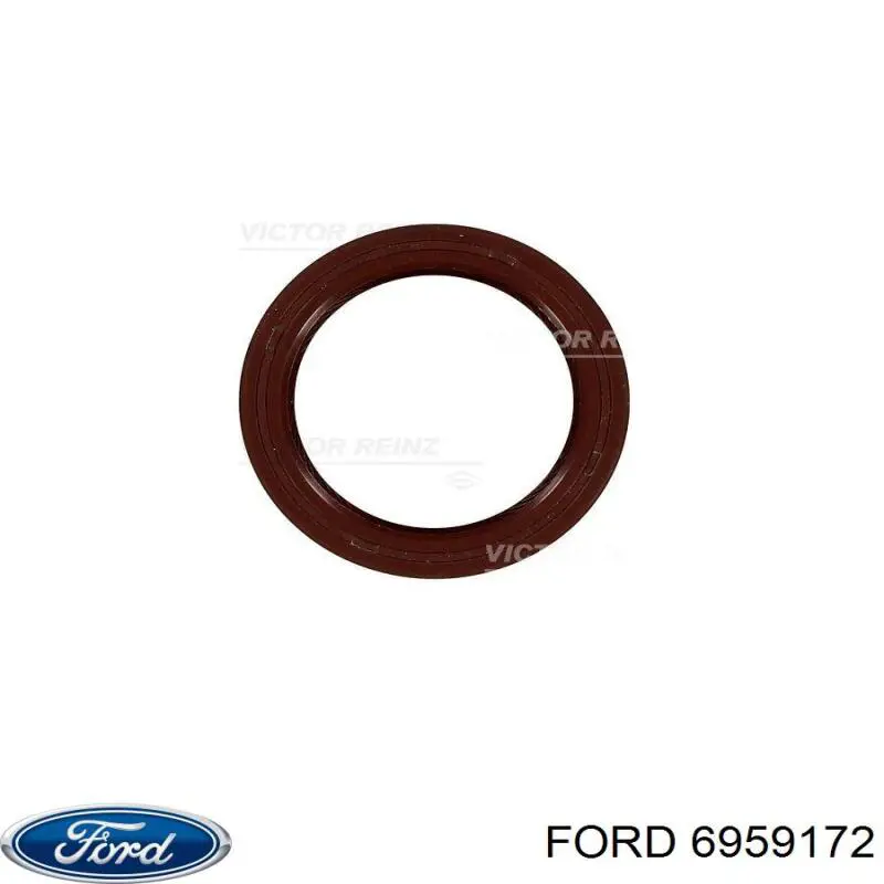 1643644 Ford cadena de distribución