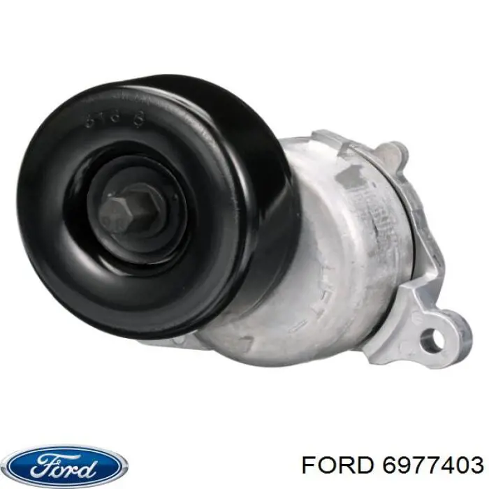 6977403 Ford tensor de correa, correa poli v