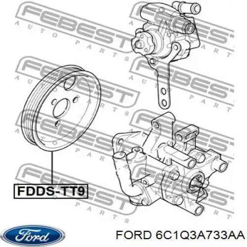 6C1Q3A733AA Ford polea, servobomba