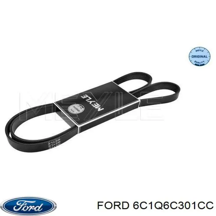 6C1Q 6C301 CC Ford correa trapezoidal