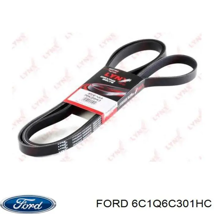 Comprar 6C1Q6C301HC Ford Correa trapezoidal