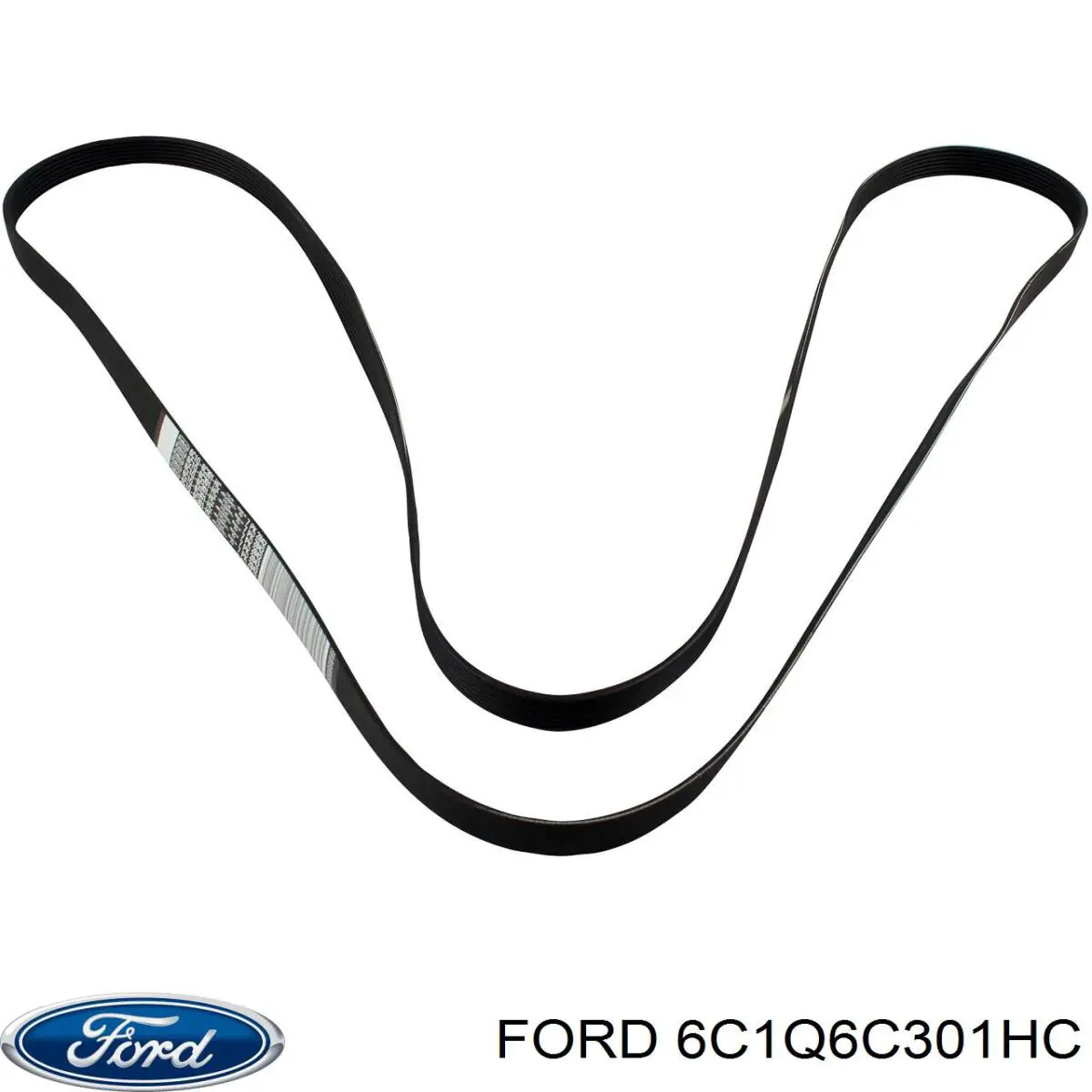 Correa de transmisión trapezoidal Ford 6C1Q6C301HC precio, desde 29,43 EUR