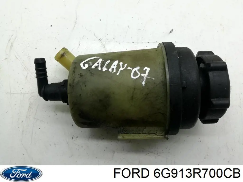 Depósito de bomba de dirección hidráulica para Ford S-Max (CA1)