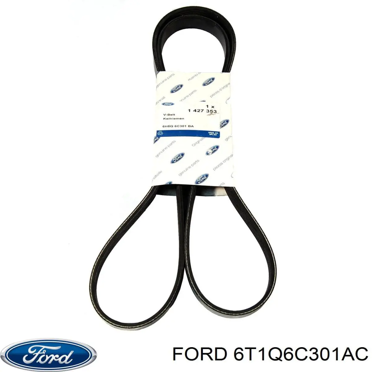 6T1Q 6C301 AC Ford correa trapezoidal