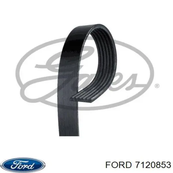 Correa de transmisión trapezoidal Ford 7120853 precio, desde 15,25 EUR