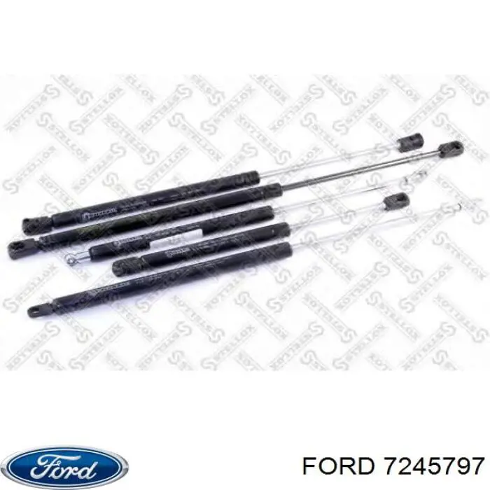 7245797 Ford