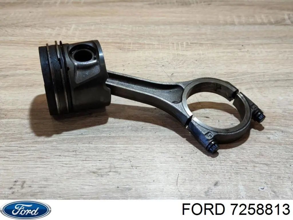 7258813 Ford