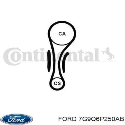 Comprar 7G9Q6P250AB Ford Kit de correa de distribución