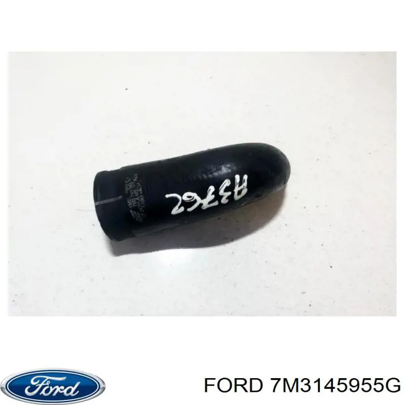 7M3145955G Ford