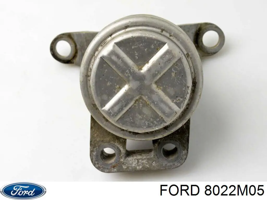 8022M05 Ford