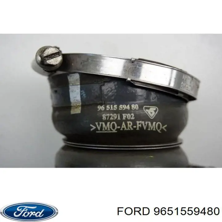 9651559480 Ford