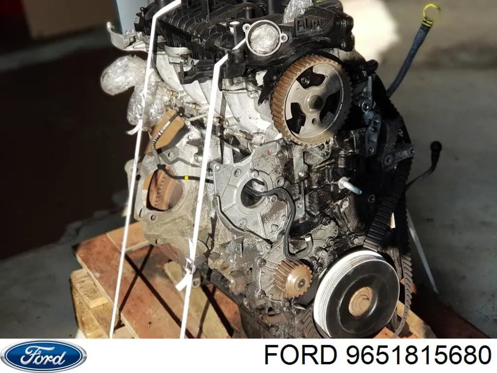 Tapa de valvula Ford 9651815680