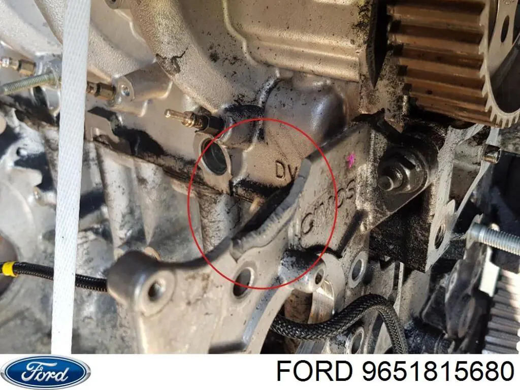 9651815680 Ford Tapa de culata