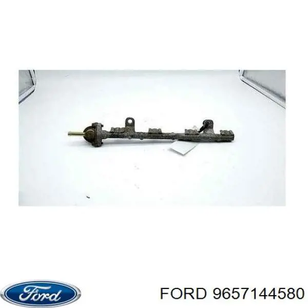 1483820 Ford inyector