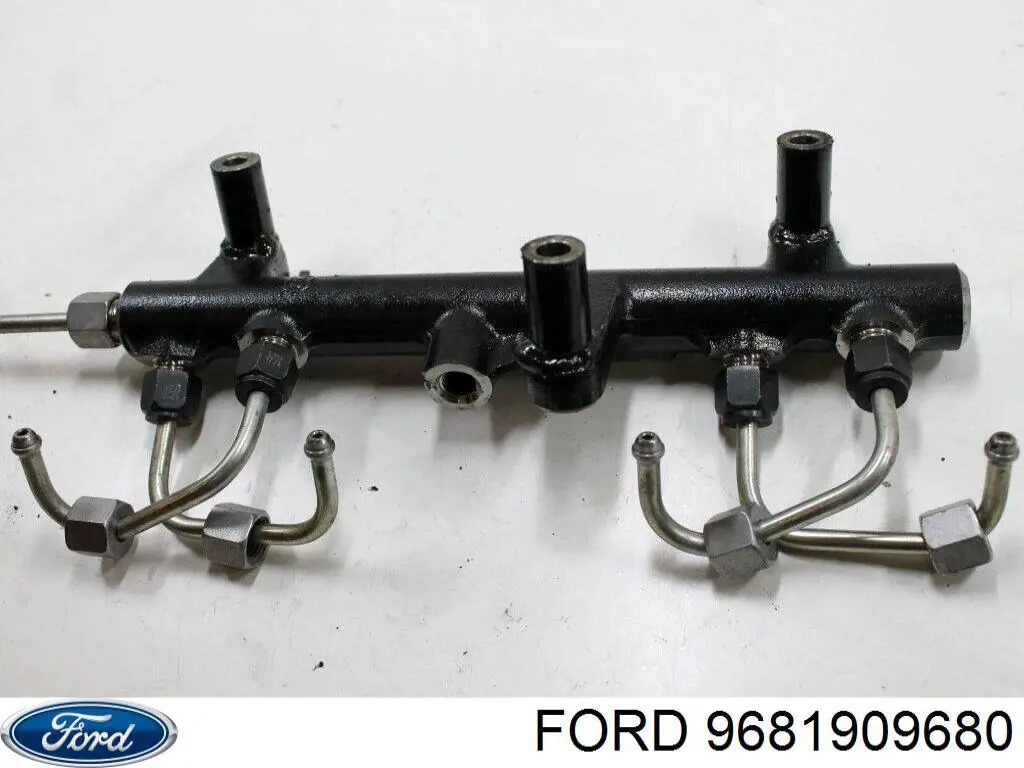 Rampa de combustible Ford 9681909680 precio, desde 66,79 EUR
