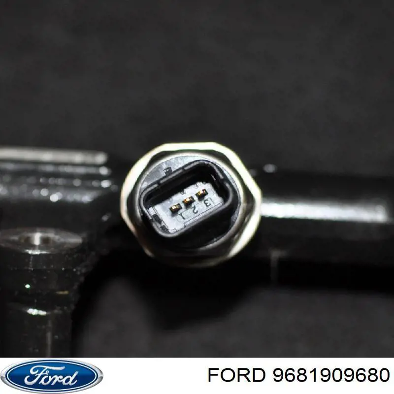 Rampa de combustible 9681909680 Ford
