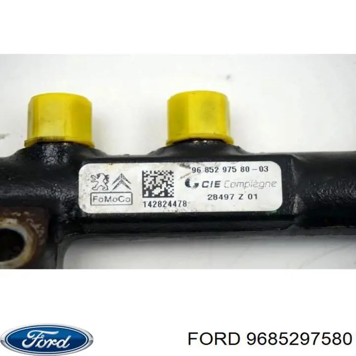 9685297580 Ford Rampa de combustible