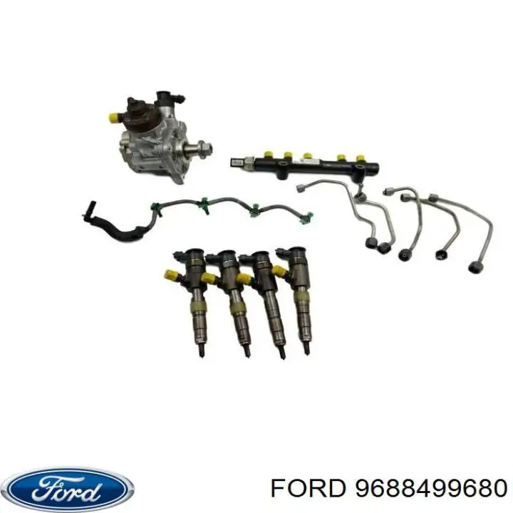 1696606 Ford Bomba de inyección